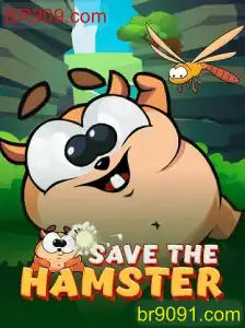 Jogo SavetheHamster: Descrição, Introdução e Regras